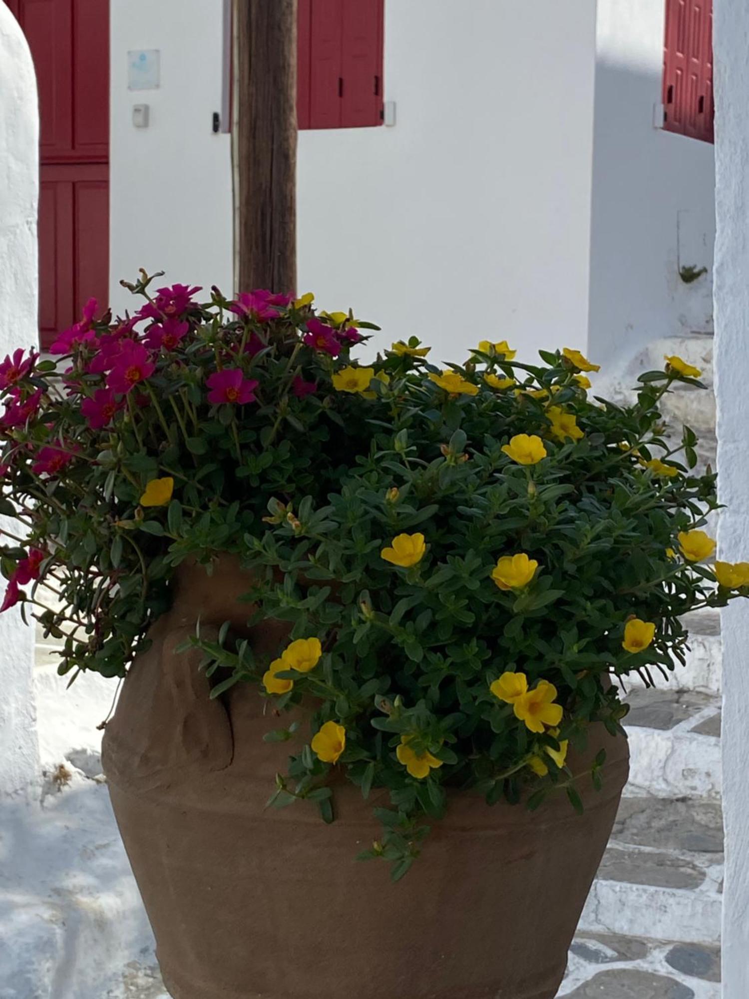 Pensione Della Nonna Mykonos Town Exterior photo